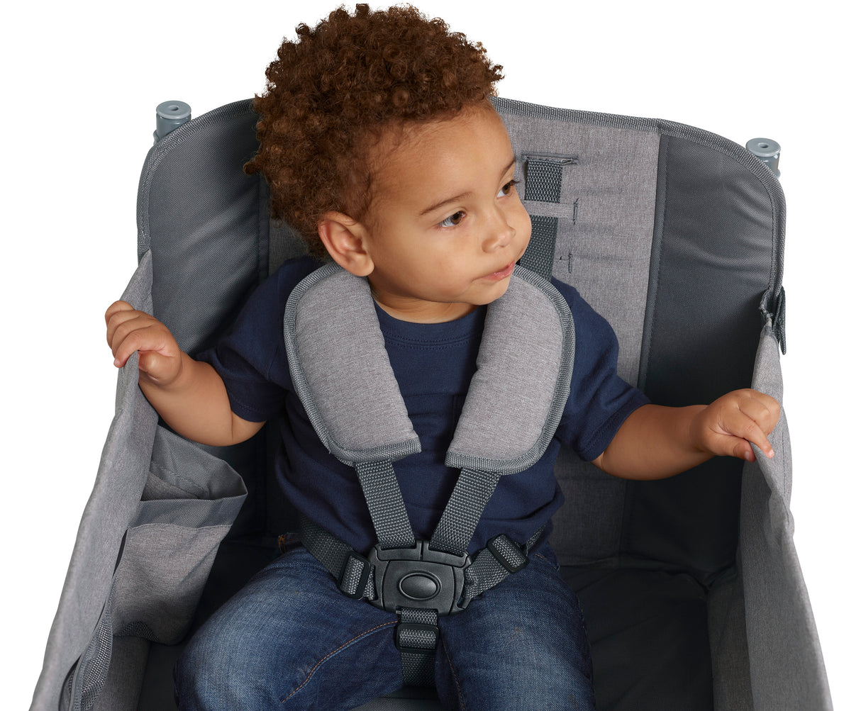 Limited Edition All-Terrain Push & Pull Stroll 'N Wagon