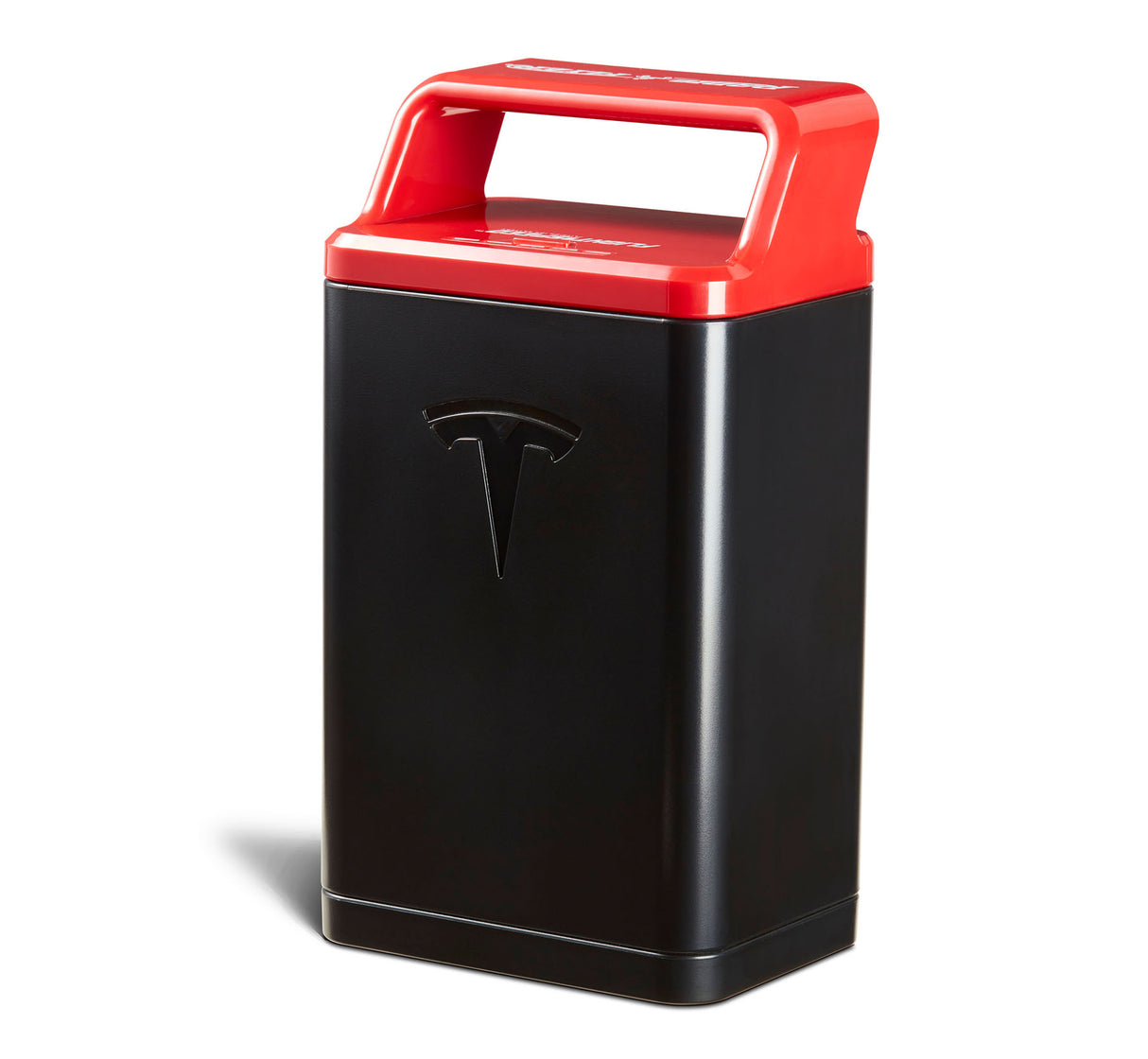 Tesla Model S for Kids Standard Battery