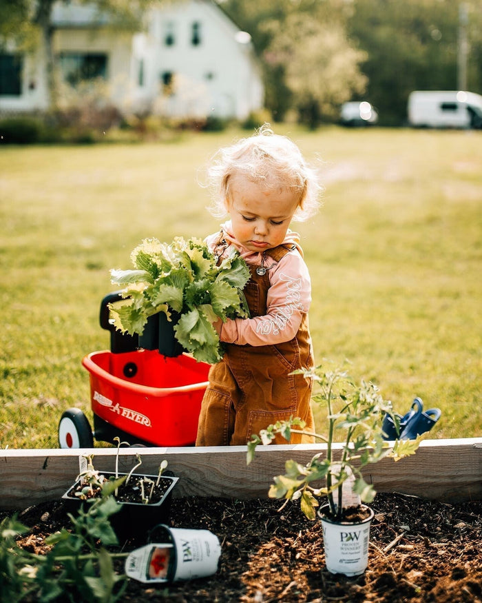 child with radio flyer garden cart
