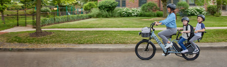 Adult eBikes