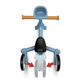 Deluxe Milestone Trike to Bike