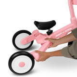 Deluxe Milestone Trike to Bike
