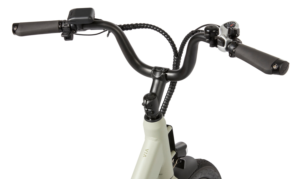 Flyer Via Family eBike | Radio Flyer