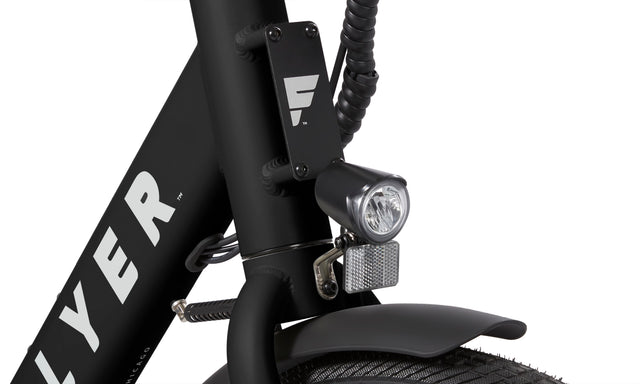 Flyer Via Family eBike | Radio Flyer