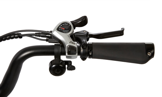 Flyer Via Family eBike | Radio Flyer