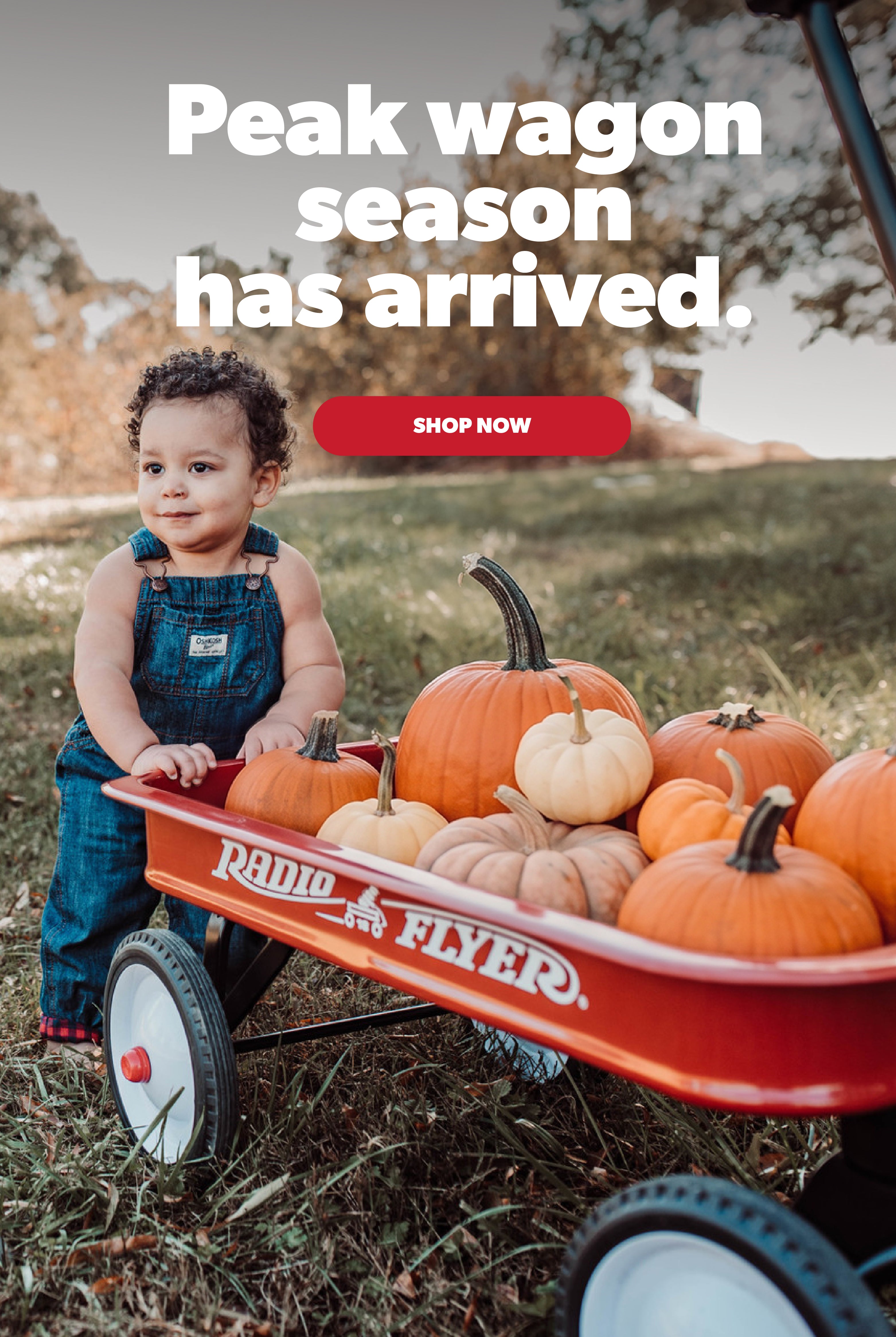 Red Wagons, Tricycles & Outdoor Toys | Radio Flyer