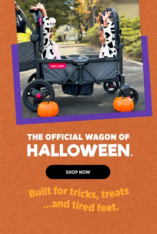 RADIOFLYＥＲ　ROCK&BOUNCEPONEY Big Pink Classic Tricycle | Radio Flyer