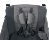 Limited Edition All-Terrain Push & Pull Stroll 'N Wagon