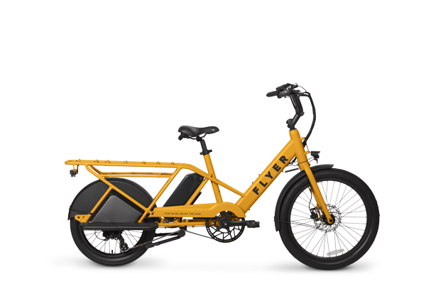 Bici Elettriche Mtb Bonus Bici Comprare Online Flyer Via Family Cargo Step Thru Electric Bike – Bikecraze Bike Shop